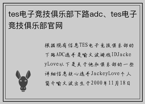 tes电子竞技俱乐部下路adc、tes电子竞技俱乐部官网